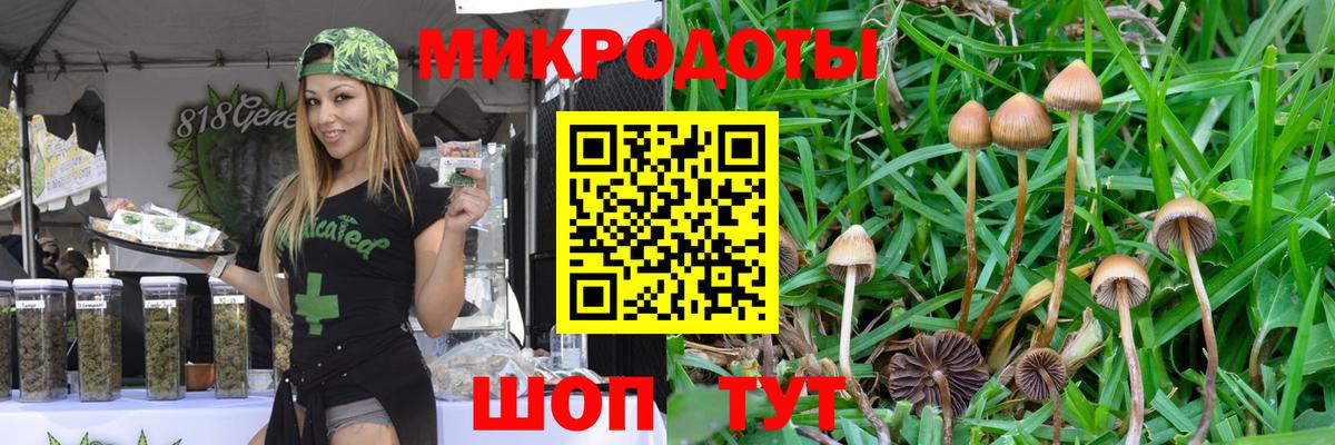 даркнет сайт  Галлюциногенные грибы ЛСД  Вход с VPN  Ногинск  Галлюциногенные грибы мухоморы 