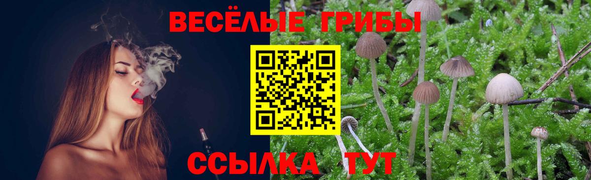 Псилоцибиновые грибы ЛСД Ногинск